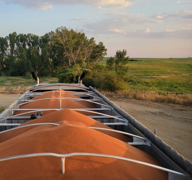 semi trailer full of product at sunset